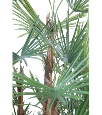 Palmier artificiel livistonia