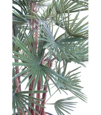 Palmier artificiel livistonia