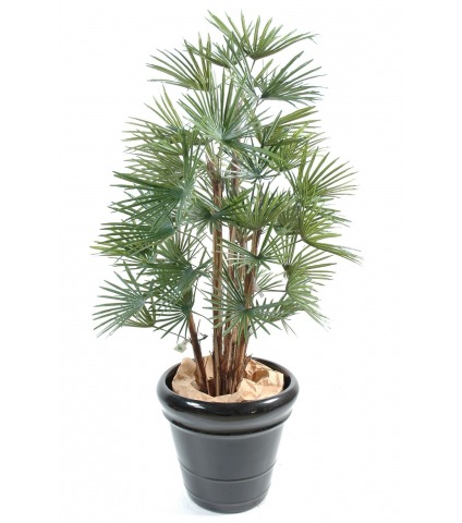 Palmier artificiel livistonia