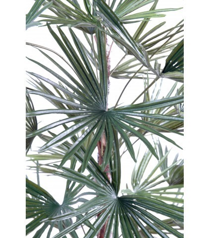 Palmier artificiel éventail