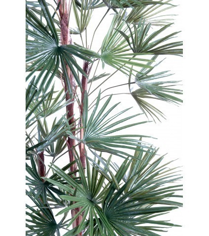 Palmier artificiel éventail