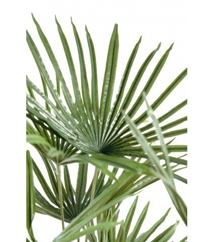 Palmier artificiel éventail