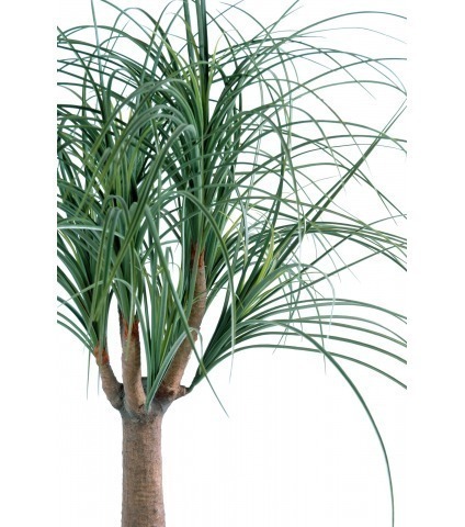 Pied d'éléphant artificiel