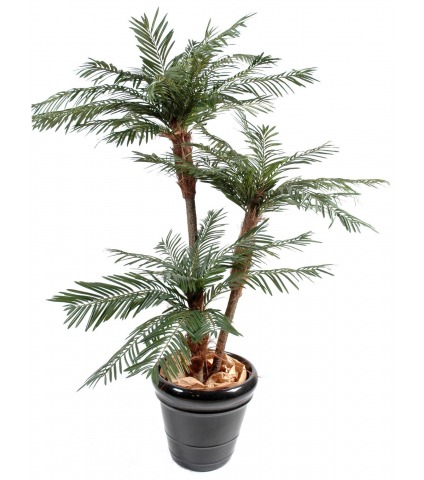 Palmier artificiel dattier