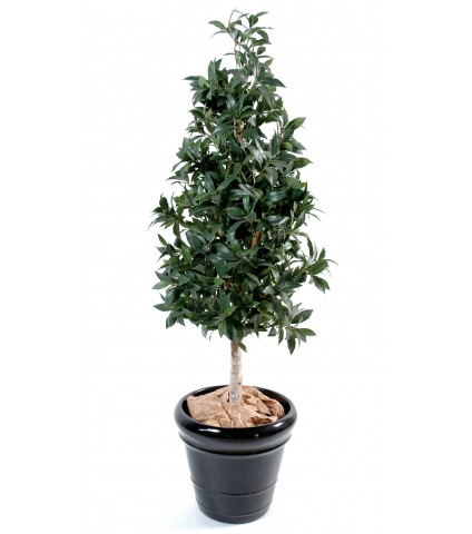 Laurier artificiel pyramide