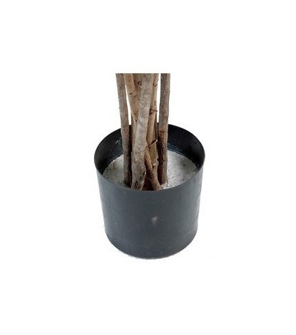 Pot