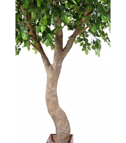 Hêtre artificiel