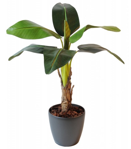 Petit bananier artificiel