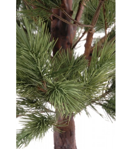 Pin d'Autriche artificiel
