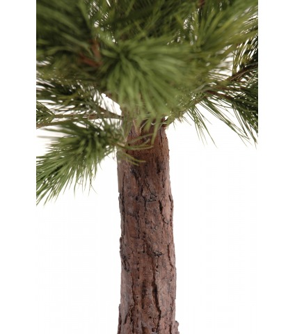 Pin d'Autriche artificiel