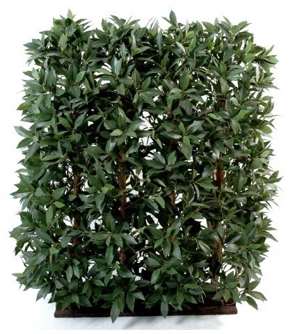 Haie de laurier artificielle