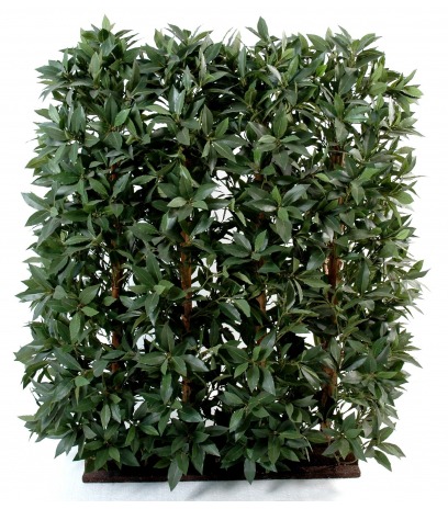 Haie de laurier artificielle