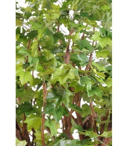 Platane artificiel géant