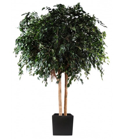 Grand ficus artificiel