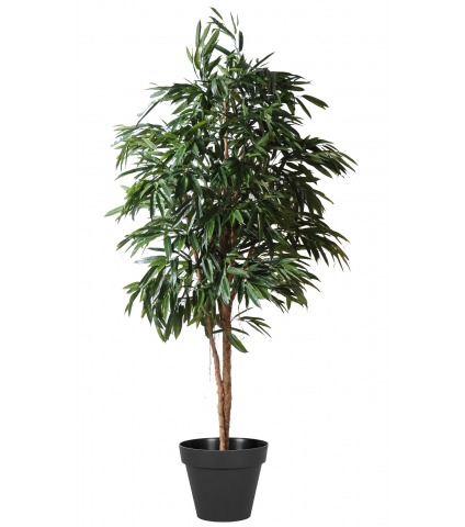 Ficus artificiel alii