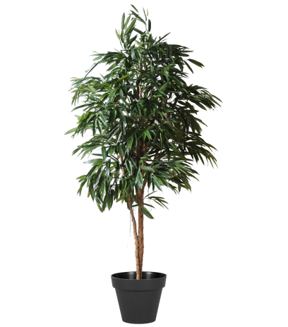 Ficus artificiel alii