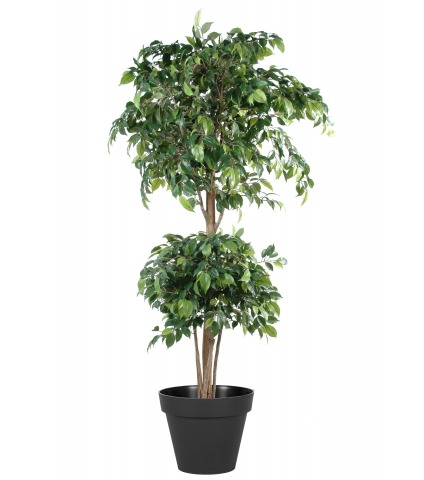 Ficus artificiel banian