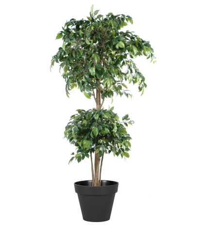 Ficus artificiel banian