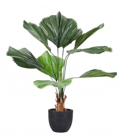 Palmier artificiel cuillère