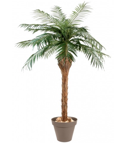 Palmier artificiel phœnix