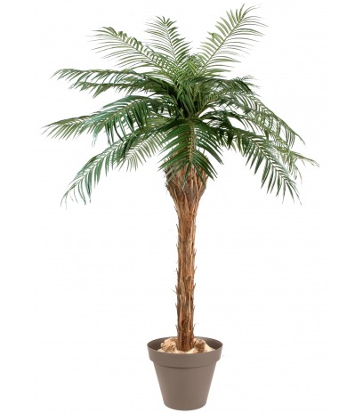 Palmier artificiel phœnix