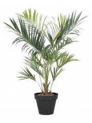 Palmier kentia artificiel