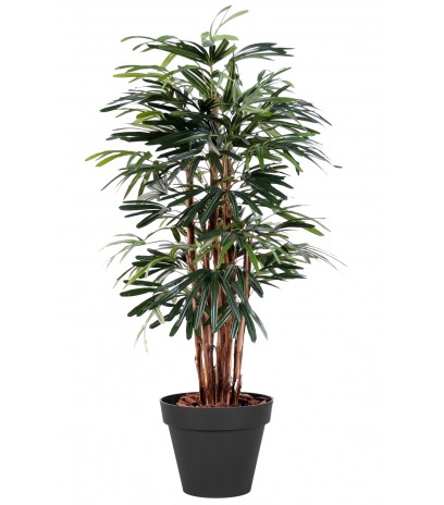 Palmier artificiel rhapis