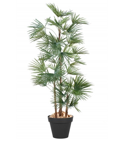 Palmier artificiel éventail