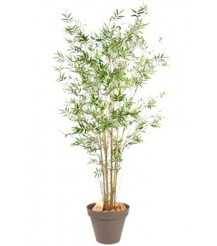 Bambou artificiel fargesia