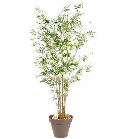 Bambou artificiel fargesia