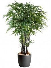 Bambou artificiel tropique