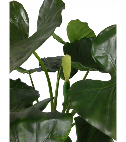 Alocasia artificiel 