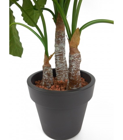 Alocasia artificiel 