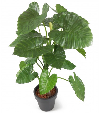 Alocasia artificiel 