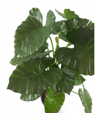 Alocasia artificiel 
