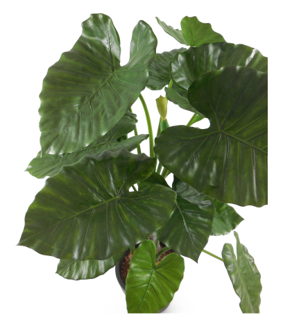 Alocasia artificiel 