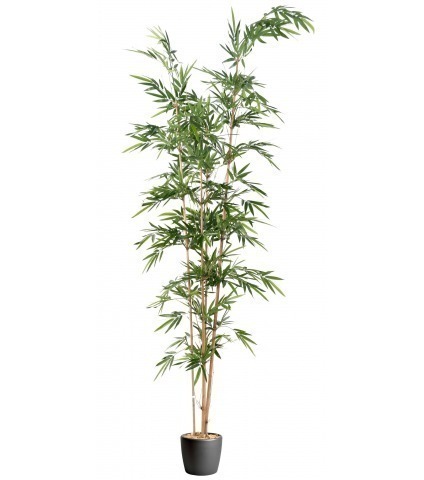 Bambou artificiel longiforme