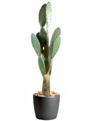 Cactus artificiel géant