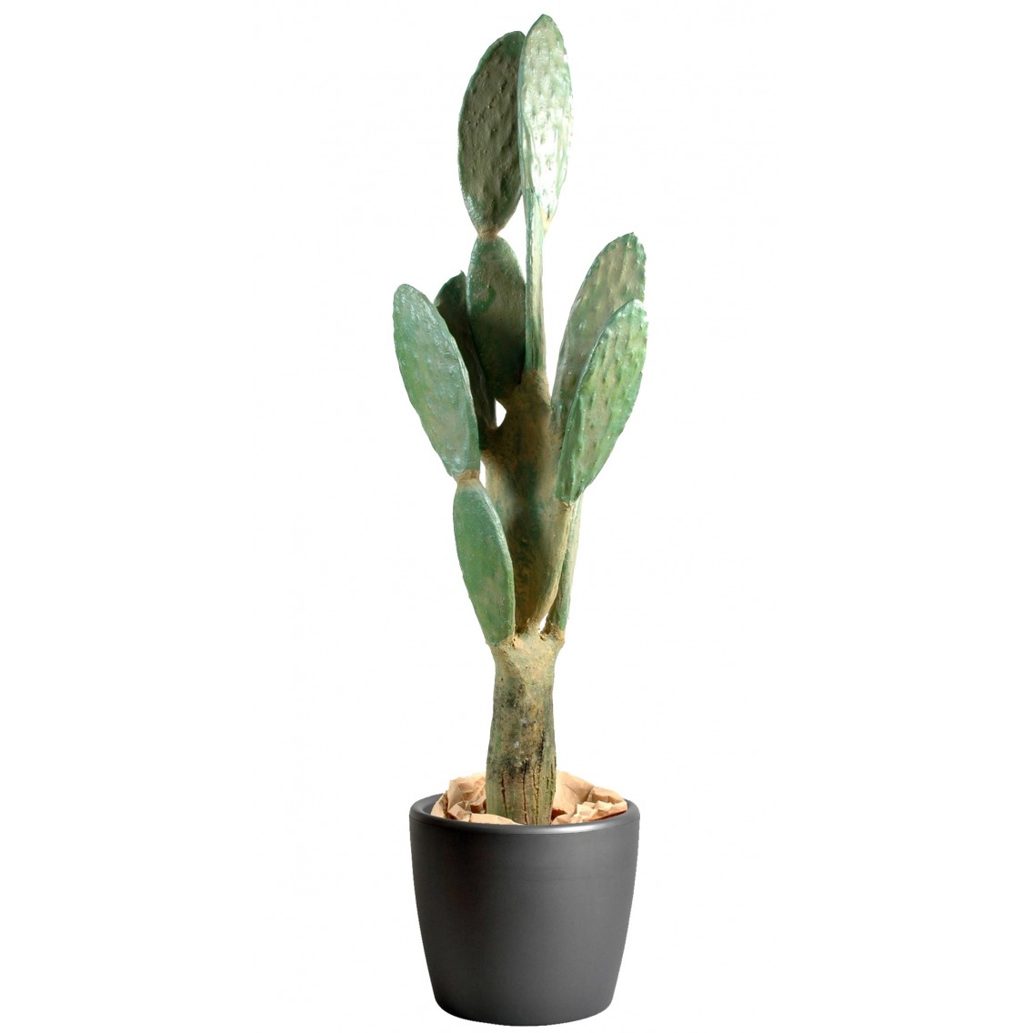 Cactus artificiel géant