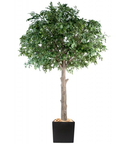 Chêne artificiel géant