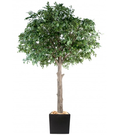 Chêne artificiel géant