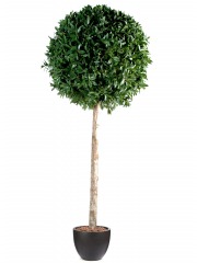 Laurier artificiel géant