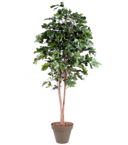 Chêne artificiel longiforme