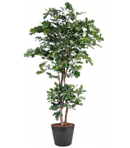 Chêne artificiel avec glands