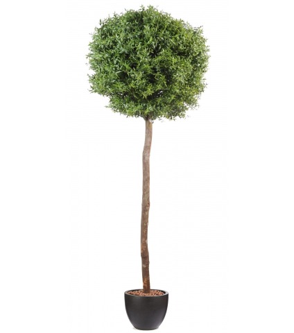 Eucalyptus artificiel sur tige