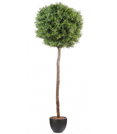 Eucalyptus artificiel sur tige