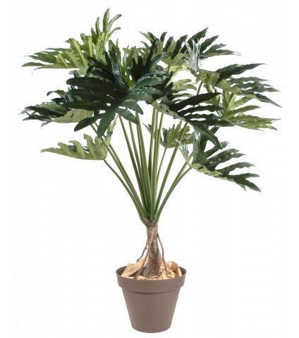Philodendron selloum artificiel