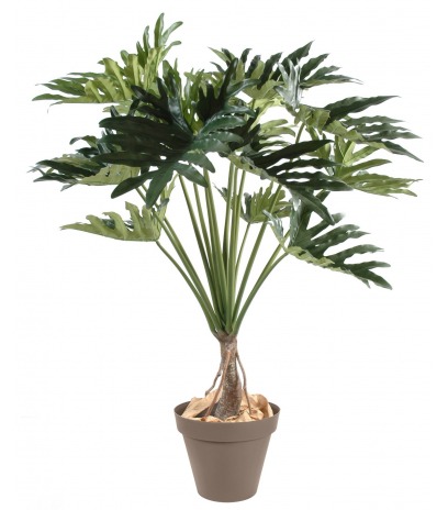 Philodendron selloum artificiel