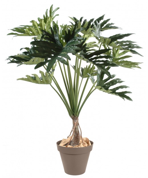 Philodendron selloum artificiel