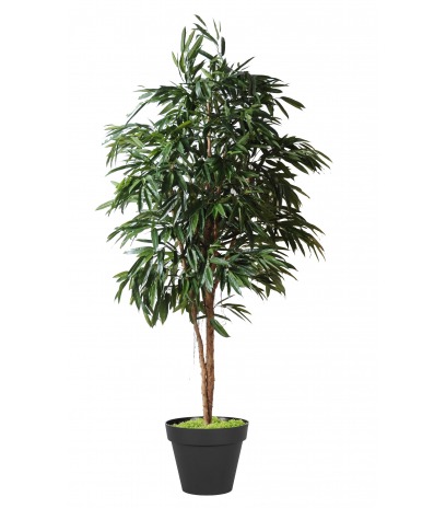 Ficus artificiel alii